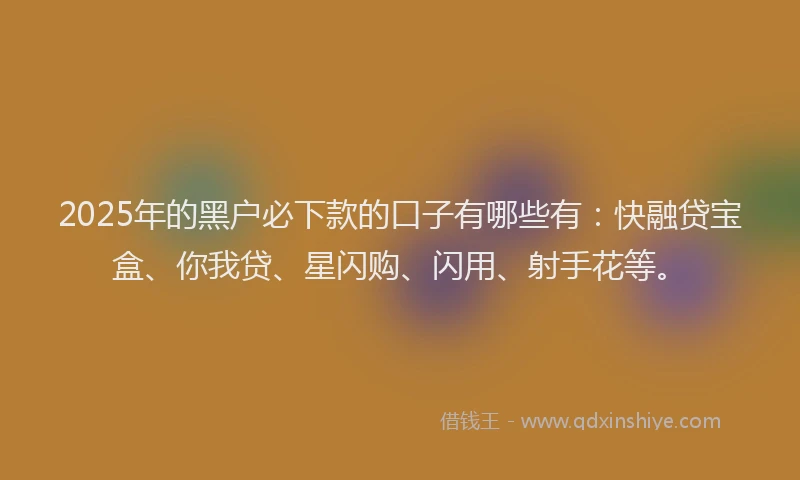 2025年的黑户必下款的口子有哪些有：快融贷宝盒、你我贷、星闪购、闪用、射手花等。