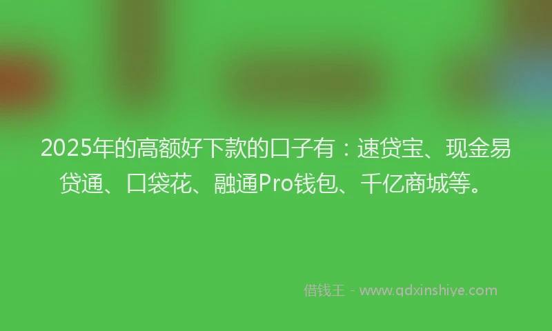 2025年的高额好下款的口子有：速贷宝、现金易贷通、口袋花、融通Pro钱包、千亿商城等。