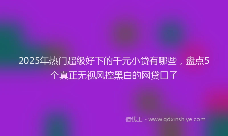 2025年热门超级好下的千元小贷有哪些，盘点5个真正无视风控黑白的网贷口子