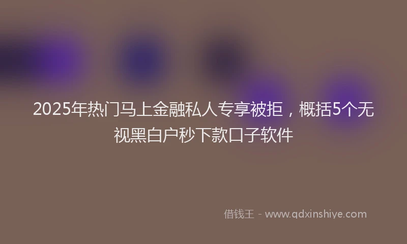 2025年热门马上金融私人专享被拒，概括5个无视黑白户秒下款口子软件
