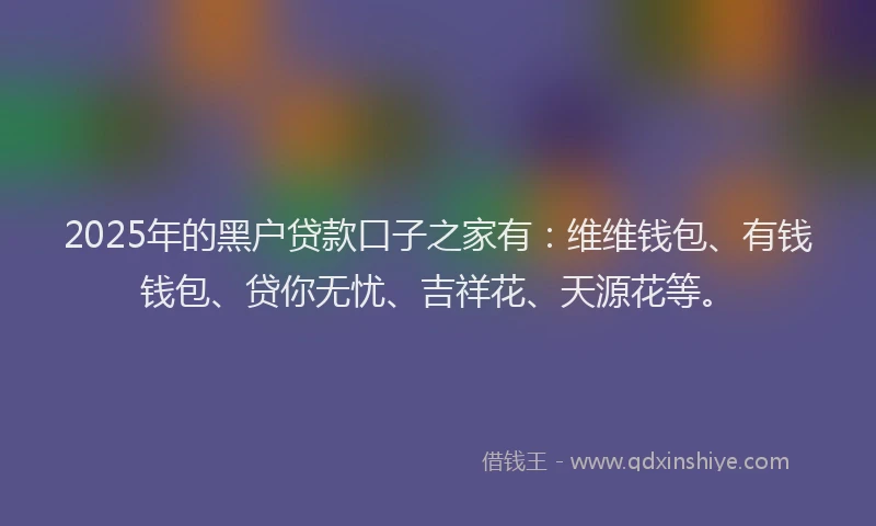 2025年的黑户贷款口子之家有：维维钱包、有钱钱包、贷你无忧、吉祥花、天源花等。