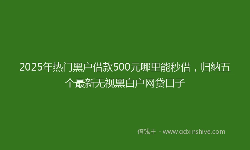 2025年热门黑户借款500元哪里能秒借，归纳五个最新无视黑白户网贷口子