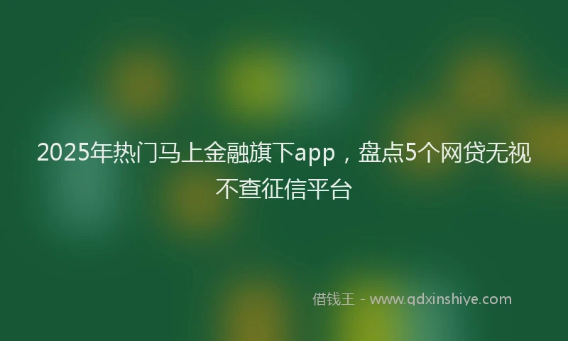 2025年热门马上金融旗下app，盘点5个网贷无视不查征信平台