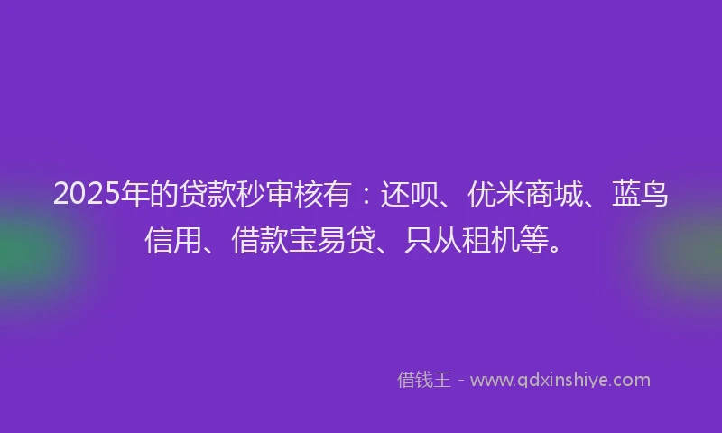 2025年的贷款秒审核有：还呗、优米商城、蓝鸟信用、借款宝易贷、只从租机等。