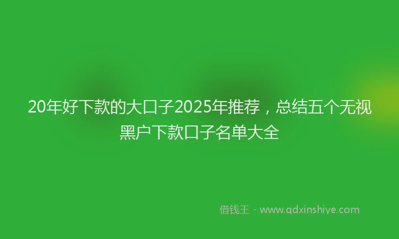 20年好下款的大口子2025年推荐，总结五个无视黑户下款口子名单大全