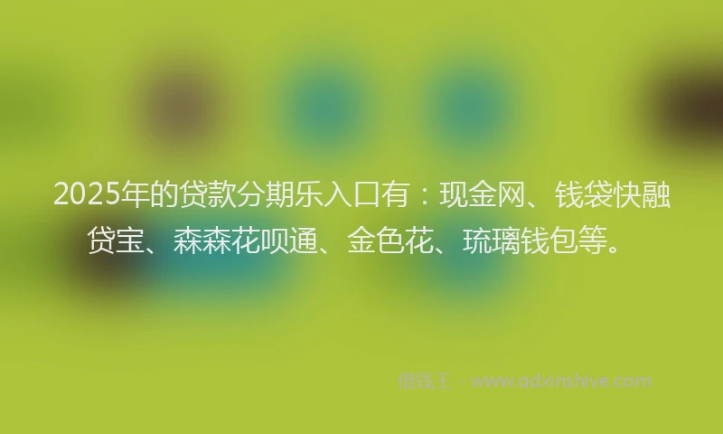 2025年的贷款分期乐入口有：现金网、钱袋快融贷宝、森森花呗通、金色花、琉璃钱包等。