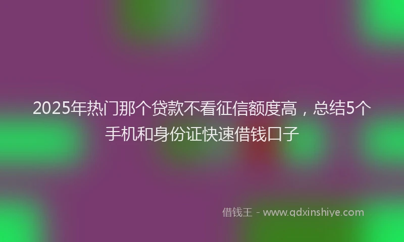 2025年热门那个贷款不看征信额度高，总结5个手机和身份证快速借钱口子
