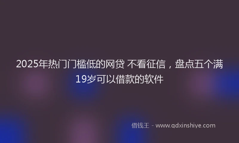 2025年热门门槛低的网贷 不看征信，盘点五个满19岁可以借款的软件