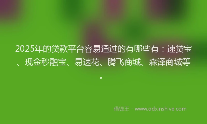 2025年的贷款平台容易通过的有哪些有：速贷宝、现金秒融宝、易速花、腾飞商城、森泽商城等。