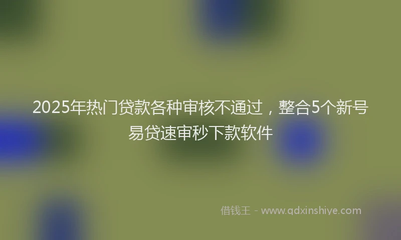 2025年热门贷款各种审核不通过，整合5个新号易贷速审秒下款软件