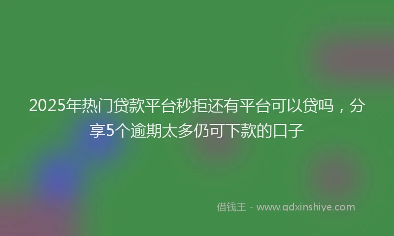 2025年热门贷款平台秒拒还有平台可以贷吗，分享5个逾期太多仍可下款的口子