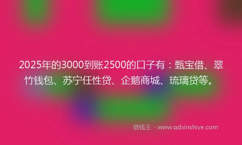 2025年的3000到账2500的口子有：甄宝借、翠竹钱包、苏宁任性贷、企鹅商城、琉璃贷等。