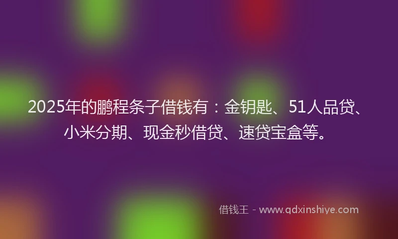 2025年的鹏程条子借钱有：金钥匙、51人品贷、小米分期、现金秒借贷、速贷宝盒等。