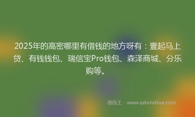 2025年的高密哪里有借钱的地方呀有：壹起马上贷、有钱钱包、瑞信宝Pro钱包、森泽商城、分乐购等。