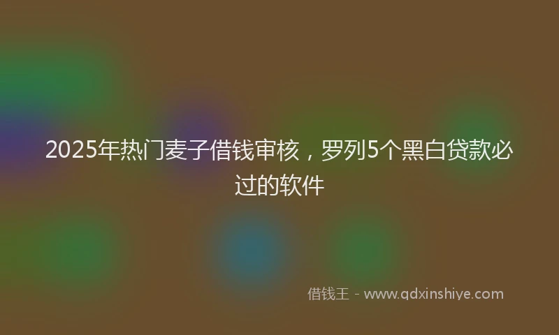2025年热门麦子借钱审核，罗列5个黑白贷款必过的软件