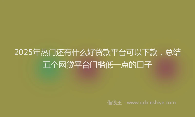 2025年热门还有什么好贷款平台可以下款，总结五个网贷平台门槛低一点的口子