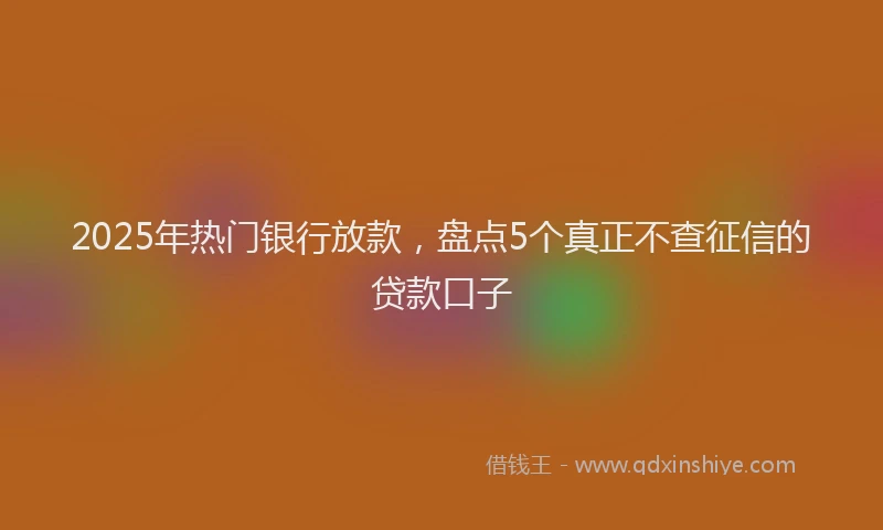 2025年热门银行放款，盘点5个真正不查征信的贷款口子