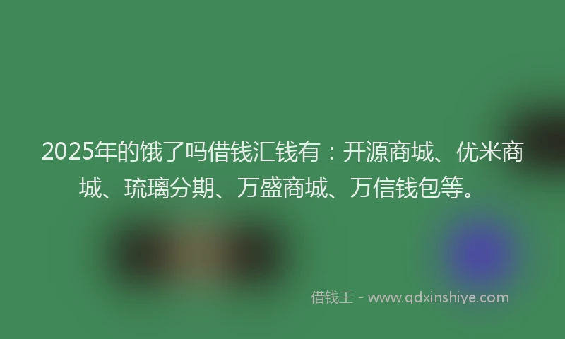 2025年的饿了吗借钱汇钱有：开源商城、优米商城、琉璃分期、万盛商城、万信钱包等。