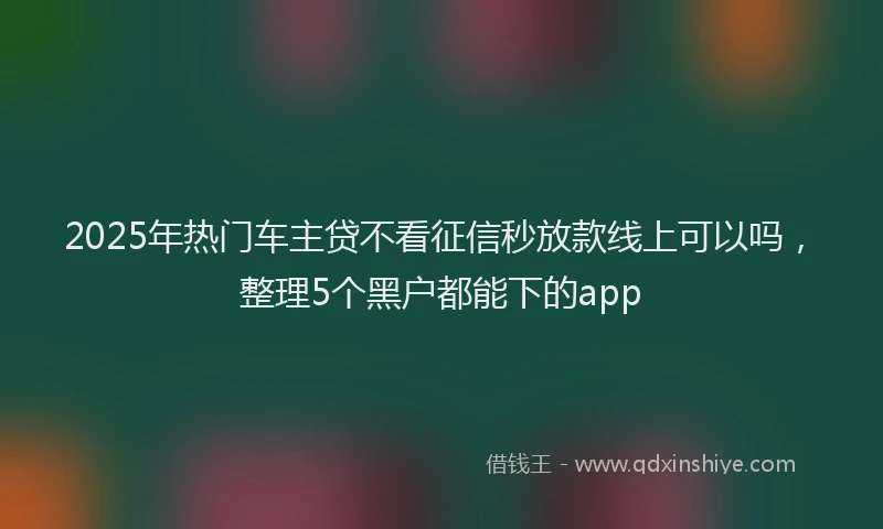 2025年热门车主贷不看征信秒放款线上可以吗，整理5个黑户都能下的app