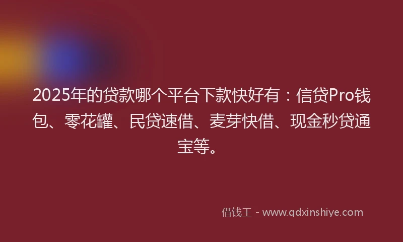 2025年的贷款哪个平台下款快好有：信贷Pro钱包、零花罐、民贷速借、麦芽快借、现金秒贷通宝等。