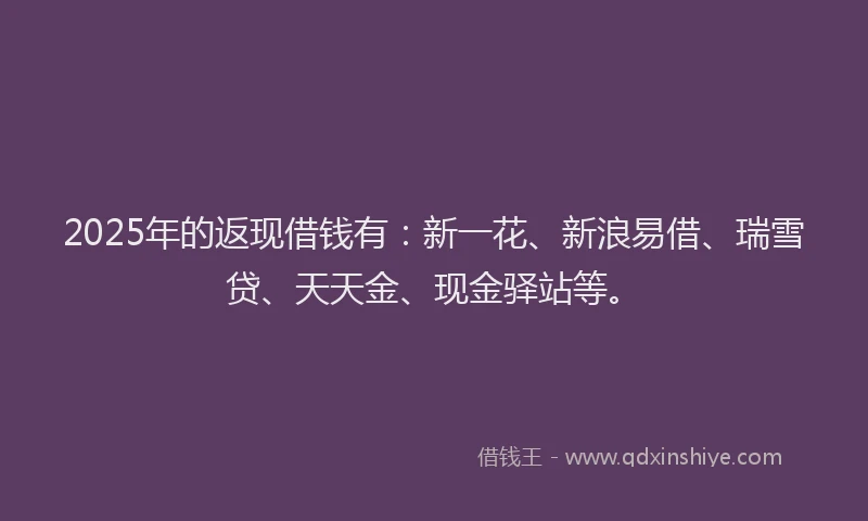 2025年的返现借钱有：新一花、新浪易借、瑞雪贷、天天金、现金驿站等。