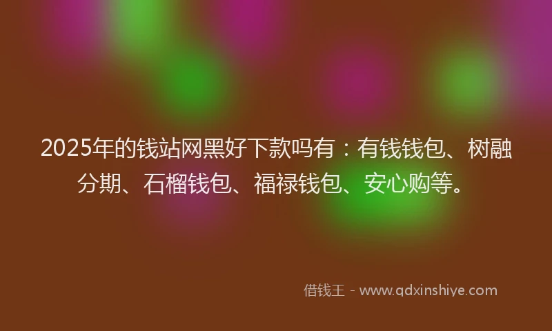 2025年的钱站网黑好下款吗有：有钱钱包、树融分期、石榴钱包、福禄钱包、安心购等。