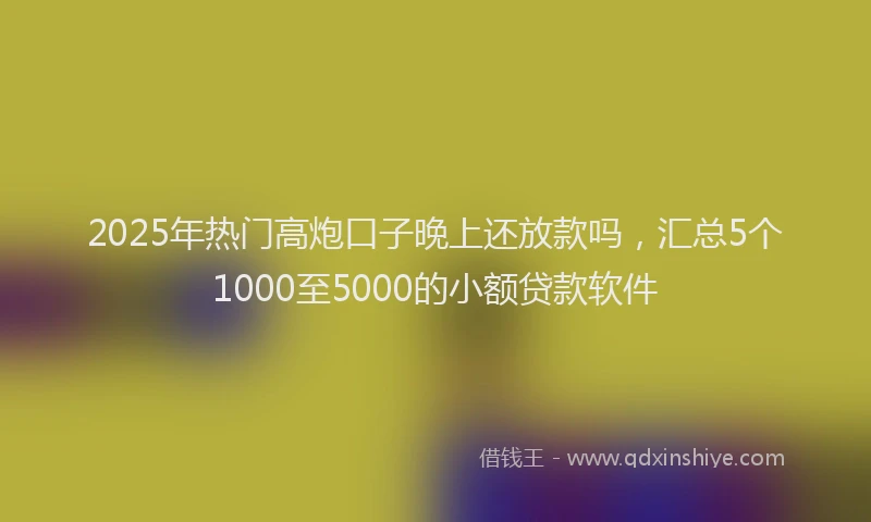 2025年热门高炮口子晚上还放款吗，汇总5个1000至5000的小额贷款软件