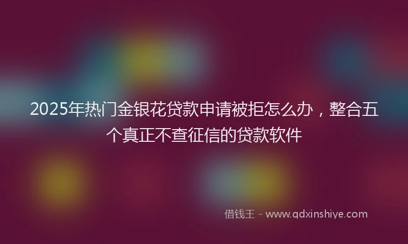 2025年热门金银花贷款申请被拒怎么办，整合五个真正不查征信的贷款软件
