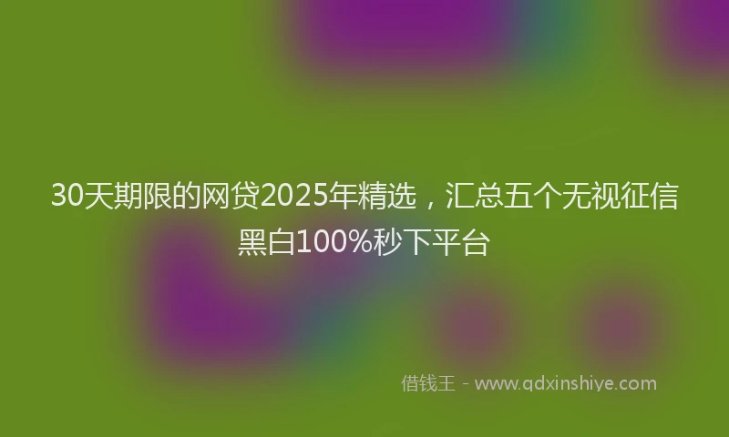 30天期限的网贷2025年精选，汇总五个无视征信黑白100%秒下平台