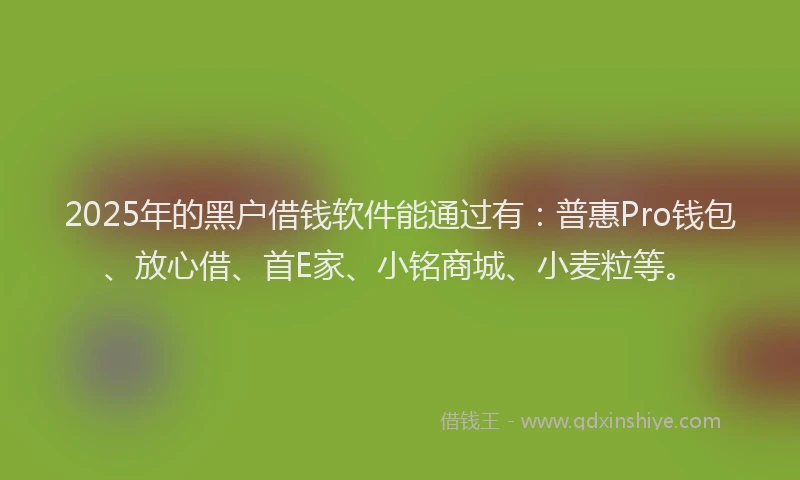 2025年的黑户借钱软件能通过有：普惠Pro钱包、放心借、首E家、小铭商城、小麦粒等。