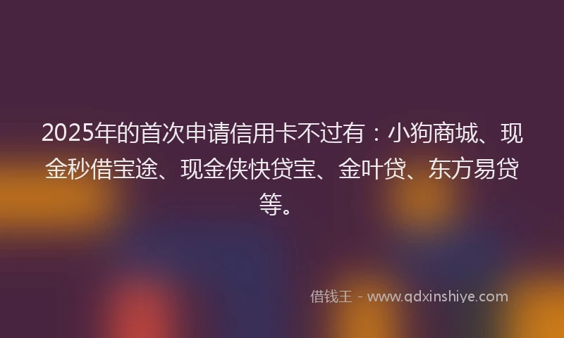 2025年的首次申请信用卡不过有：小狗商城、现金秒借宝途、现金侠快贷宝、金叶贷、东方易贷等。