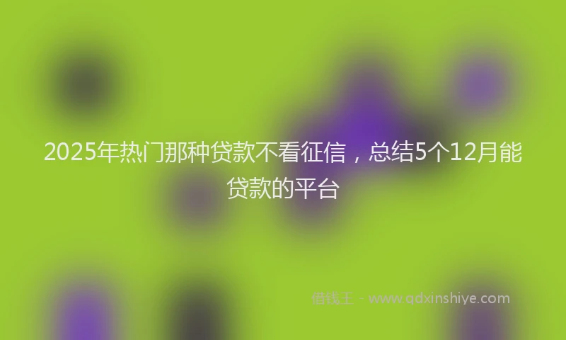 2025年热门那种贷款不看征信，总结5个12月能贷款的平台