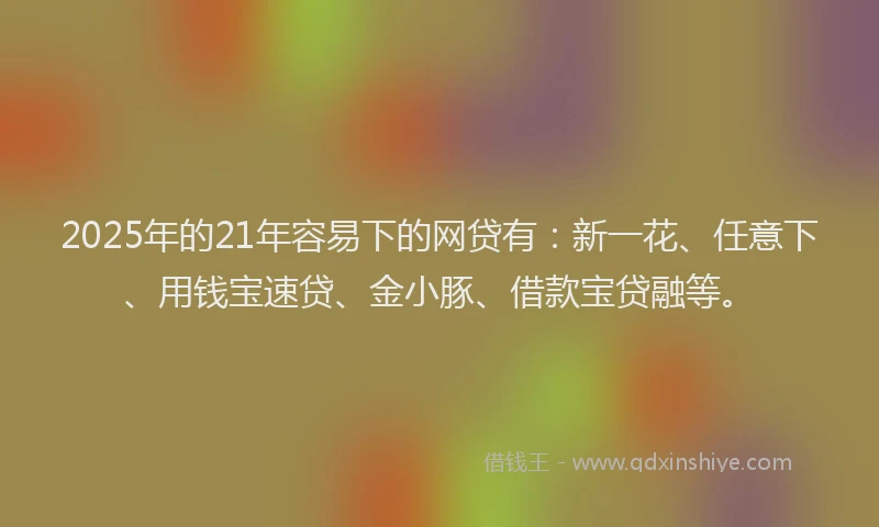 2025年的21年容易下的网贷有：新一花、任意下、用钱宝速贷、金小豚、借款宝贷融等。