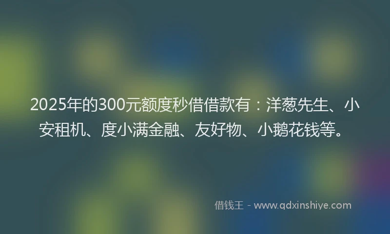 2025年的300元额度秒借借款有：洋葱先生、小安租机、度小满金融、友好物、小鹅花钱等。