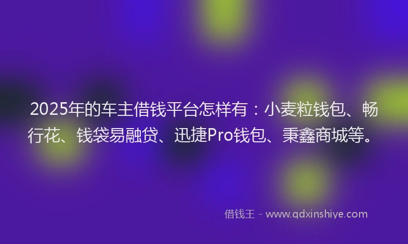 2025年的车主借钱平台怎样有：小麦粒钱包、畅行花、钱袋易融贷、迅捷Pro钱包、秉鑫商城等。