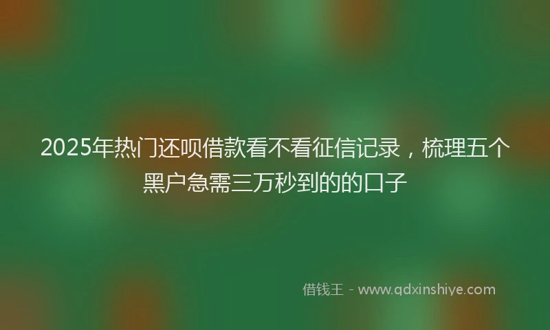 2025年热门还呗借款看不看征信记录，梳理五个黑户急需三万秒到的的口子