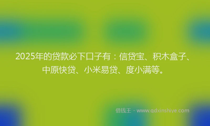 2025年的贷款必下口子有：信贷宝、积木盒子、中原快贷、小米易贷、度小满等。
