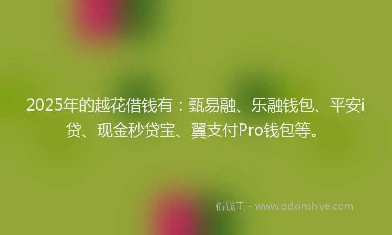 2025年的越花借钱有：甄易融、乐融钱包、平安i贷、现金秒贷宝、翼支付Pro钱包等。