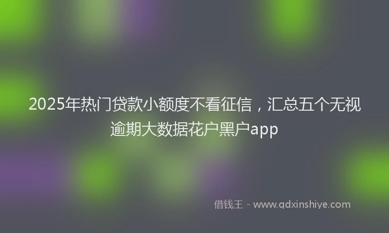 2025年热门贷款小额度不看征信，汇总五个无视逾期大数据花户黑户app