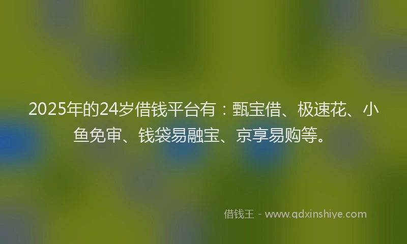 2025年的24岁借钱平台有：甄宝借、极速花、小鱼免审、钱袋易融宝、京享易购等。