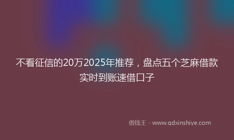 不看征信的20万2025年推荐，盘点五个芝麻借款实时到账速借口子