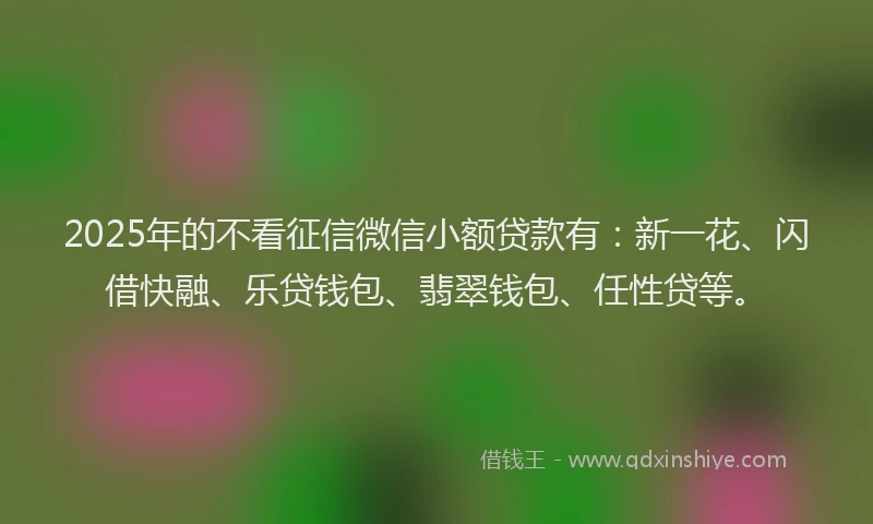 2025年的不看征信微信小额贷款有：新一花、闪借快融、乐贷钱包、翡翠钱包、任性贷等。