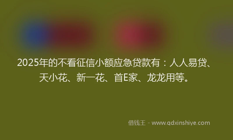 2025年的不看征信小额应急贷款有：人人易贷、天小花、新一花、首E家、龙龙用等。