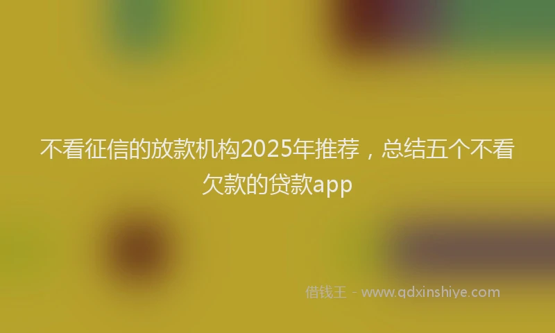 不看征信的放款机构2025年推荐，总结五个不看欠款的贷款app