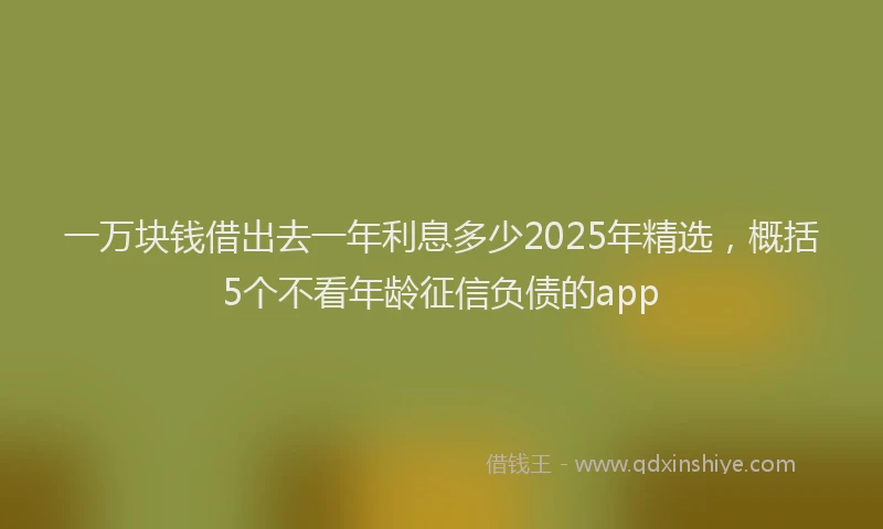 一万块钱借出去一年利息多少2025年精选，概括5个不看年龄征信负债的app