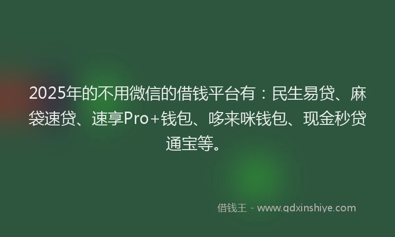 2025年的不用微信的借钱平台有：民生易贷、麻袋速贷、速享Pro+钱包、哆来咪钱包、现金秒贷通宝等。