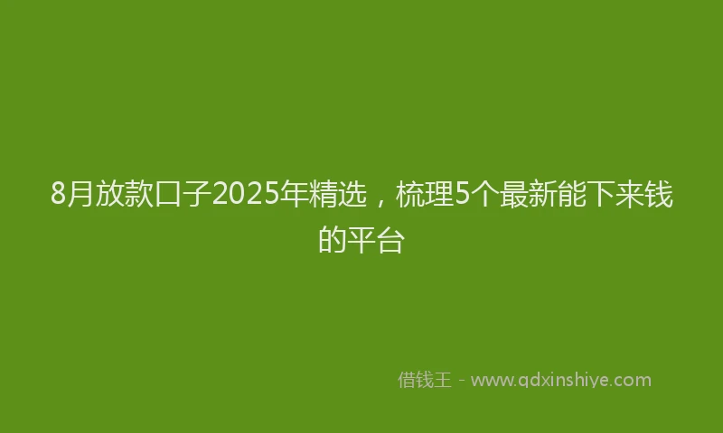 8月放款口子2025年精选，梳理5个最新能下来钱的平台