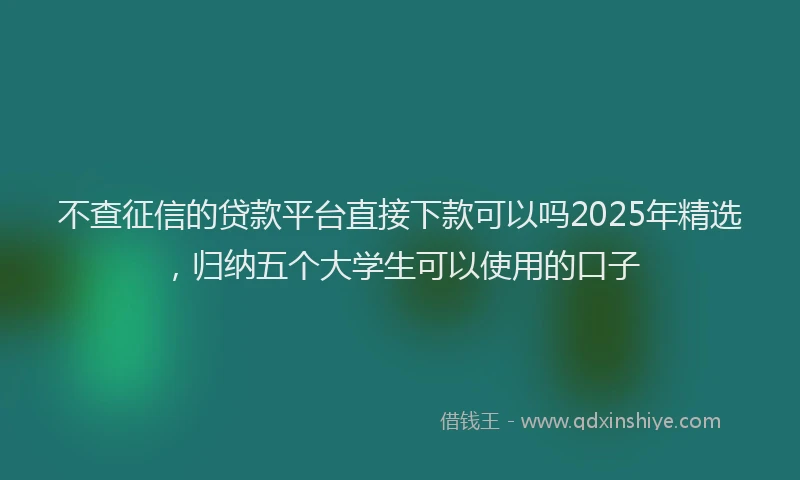 不查征信的贷款平台直接下款可以吗2025年精选，归纳五个大学生可以使用的口子