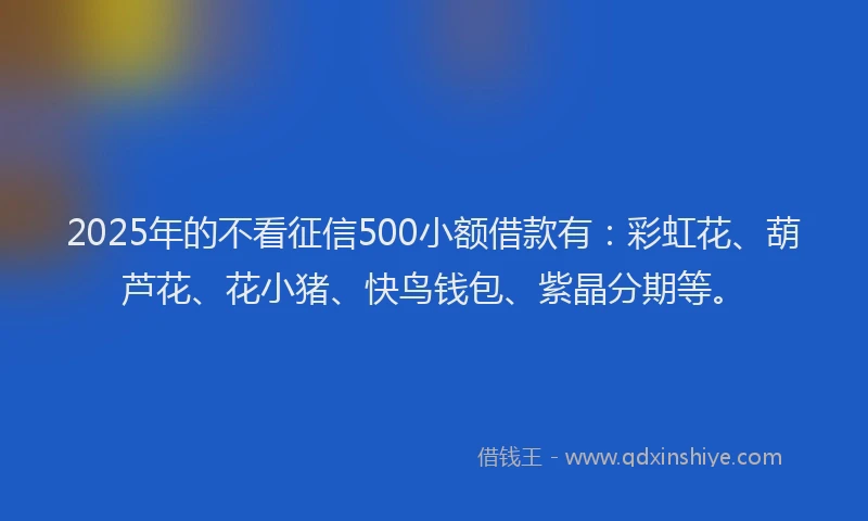 2025年的不看征信500小额借款有：彩虹花、葫芦花、花小猪、快鸟钱包、紫晶分期等。