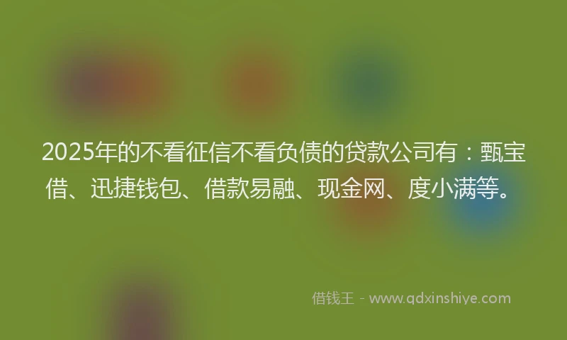 2025年的不看征信不看负债的贷款公司有：甄宝借、迅捷钱包、借款易融、现金网、度小满等。